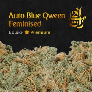 Бошки закладкой онлайн купить шишки в Сочи